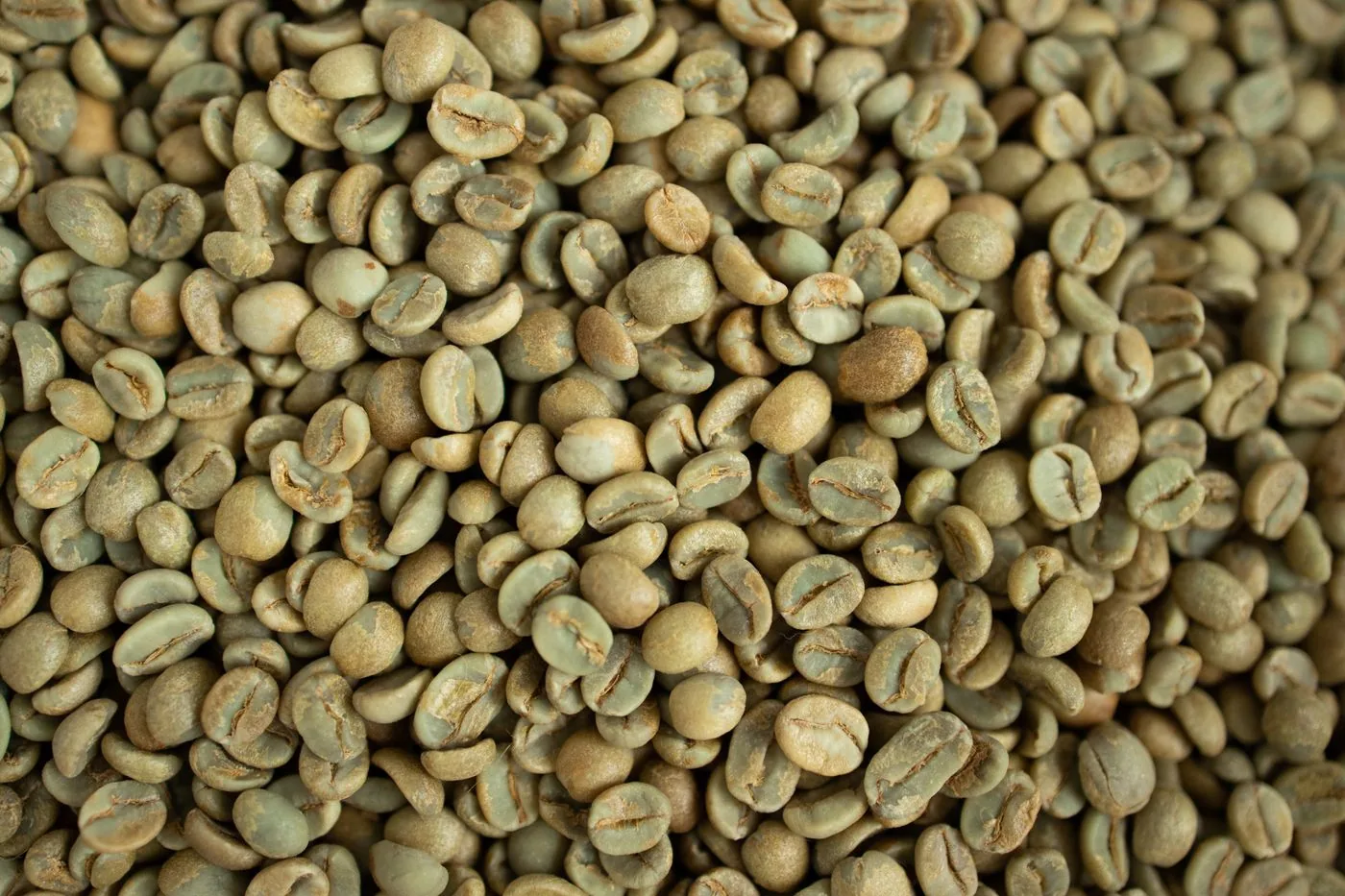 Overhead close-up of pale green unroasted coffee beans